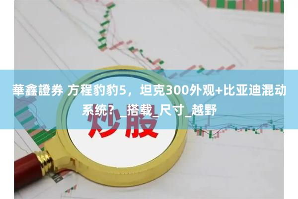 華鑫證券 方程豹豹5，坦克300外观+比亚迪混动系统？_搭载_尺寸_越野