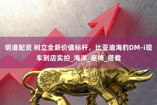 明道配资 树立全新价值标杆，比亚迪海豹DM-i现车到店实拍_海洋_座椅_搭载