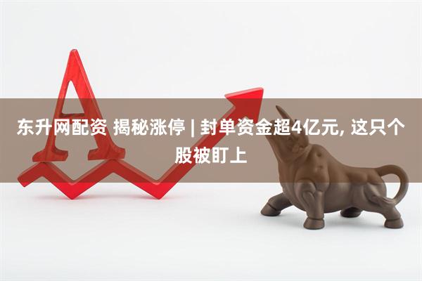 东升网配资 揭秘涨停 | 封单资金超4亿元, 这只个股被盯上