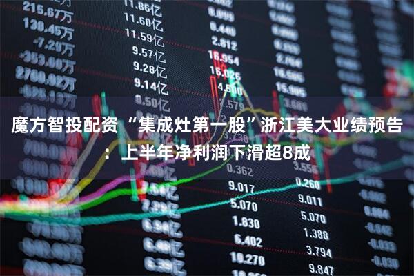 魔方智投配资 “集成灶第一股”浙江美大业绩预告：上半年净利润下滑超8成